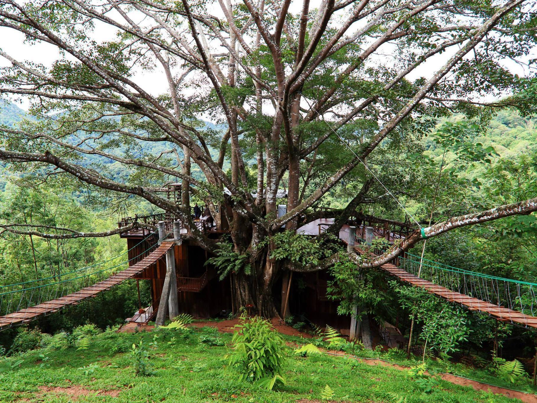 The Giant Chiangmai Chiang Mai Buitenkant foto